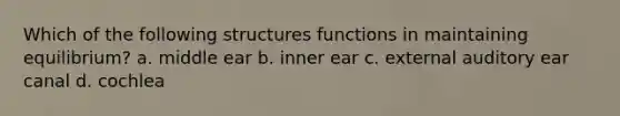 Which of the following structures functions in maintaining equilibrium? a. middle ear b. inner ear c. external auditory ear canal d. cochlea