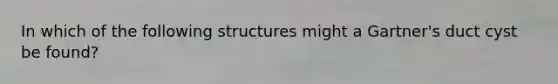 In which of the following structures might a Gartner's duct cyst be found?