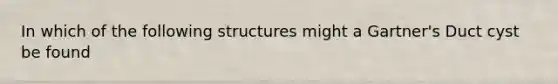 In which of the following structures might a Gartner's Duct cyst be found