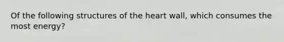 Of the following structures of the heart wall, which consumes the most energy?