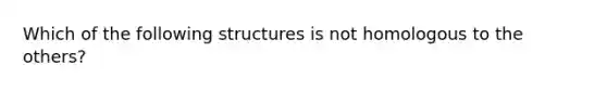 Which of the following structures is not homologous to the others?