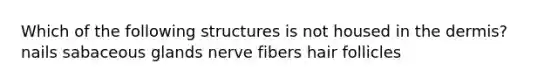 Which of the following structures is not housed in the dermis? nails sabaceous glands nerve fibers hair follicles