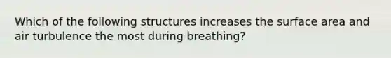 Which of the following structures increases the surface area and air turbulence the most during breathing?