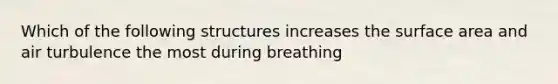 Which of the following structures increases the surface area and air turbulence the most during breathing