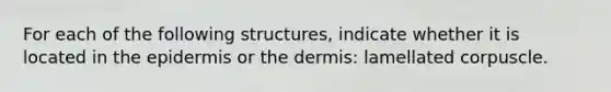 For each of the following structures, indicate whether it is located in the epidermis or the dermis: lamellated corpuscle.