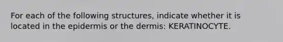 For each of the following structures, indicate whether it is located in the epidermis or the dermis: KERATINOCYTE.