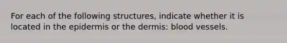 For each of the following structures, indicate whether it is located in the epidermis or the dermis: blood vessels.