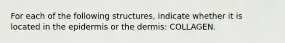 For each of the following structures, indicate whether it is located in the epidermis or the dermis: COLLAGEN.