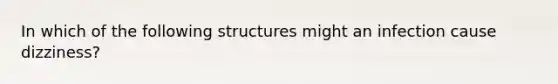 In which of the following structures might an infection cause dizziness?