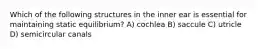 Which of the following structures in the inner ear is essential for maintaining static equilibrium? A) cochlea B) saccule C) utricle D) semicircular canals