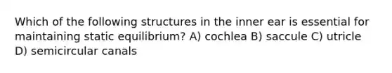 Which of the following structures in the inner ear is essential for maintaining static equilibrium? A) cochlea B) saccule C) utricle D) semicircular canals