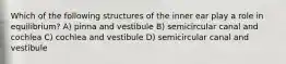 Which of the following structures of the inner ear play a role in equilibrium? A) pinna and vestibule B) semicircular canal and cochlea C) cochlea and vestibule D) semicircular canal and vestibule