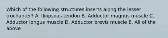 Which of the following structures inserts along the lesser trochanter? A. Iliopsoas tendon B. Adductor magnus muscle C. Adductor longus muscle D. Adductor brevis muscle E. All of the above