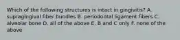 Which of the following structures is intact in gingivitis? A. supragingival fiber bundles B. periodontal ligament fibers C. alveolar bone D. all of the above E. B and C only F. none of the above