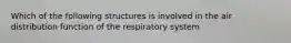 Which of the following structures is involved in the air distribution function of the respiratory system