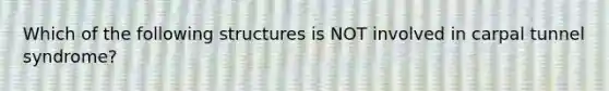 Which of the following structures is NOT involved in carpal tunnel syndrome?