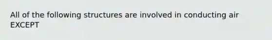 All of the following structures are involved in conducting air EXCEPT