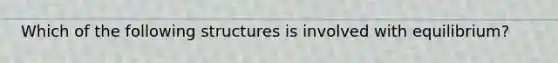 Which of the following structures is involved with equilibrium?