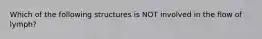 Which of the following structures is NOT involved in the flow of lymph?