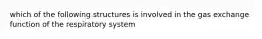 which of the following structures is involved in the gas exchange function of the respiratory system