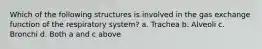 Which of the following structures is involved in the gas exchange function of the respiratory system? a. Trachea b. Alveoli c. Bronchi d. Both a and c above