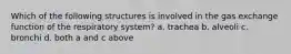 Which of the following structures is involved in the gas exchange function of the respiratory system? a. trachea b. alveoli c. bronchi d. both a and c above