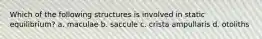 Which of the following structures is involved in static equilibrium? a. maculae b. saccule c. crista ampullaris d. otoliths