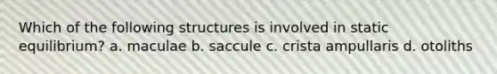 Which of the following structures is involved in static equilibrium? a. maculae b. saccule c. crista ampullaris d. otoliths