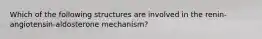 Which of the following structures are involved in the renin-angiotensin-aldosterone mechanism?