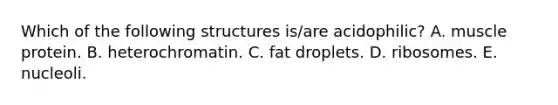 Which of the following structures is/are acidophilic? A. muscle protein. B. heterochromatin. C. fat droplets. D. ribosomes. E. nucleoli.