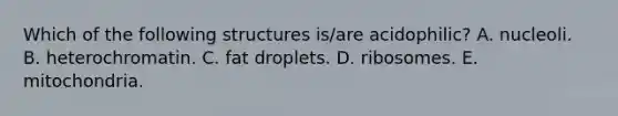 Which of the following structures is/are acidophilic? A. nucleoli. B. heterochromatin. C. fat droplets. D. ribosomes. E. mitochondria.