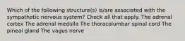 Which of the following structure(s) is/are associated with the sympathetic nervous system? Check all that apply. The adrenal cortex The adrenal medulla The thoracolumbar spinal cord The pineal gland The vagus nerve