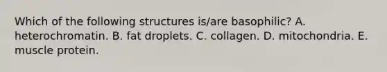 Which of the following structures is/are basophilic? A. heterochromatin. B. fat droplets. C. collagen. D. mitochondria. E. muscle protein.