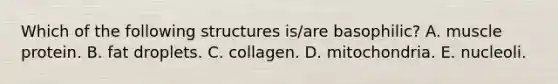 Which of the following structures is/are basophilic? A. muscle protein. B. fat droplets. C. collagen. D. mitochondria. E. nucleoli.