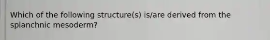 Which of the following structure(s) is/are derived from the splanchnic mesoderm?