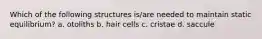 Which of the following structures is/are needed to maintain static equilibrium? a. otoliths b. hair cells c. cristae d. saccule