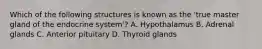 Which of the following structures is known as the 'true master gland of the endocrine system'? A. Hypothalamus B. Adrenal glands C. Anterior pituitary D. Thyroid glands