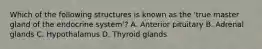 Which of the following structures is known as the 'true master gland of the endocrine system'? A. Anterior pituitary B. Adrenal glands C. Hypothalamus D. Thyroid glands