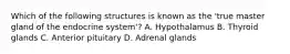 Which of the following structures is known as the 'true master gland of the endocrine system'? A. Hypothalamus B. Thyroid glands C. Anterior pituitary D. Adrenal glands