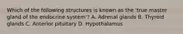 Which of the following structures is known as the 'true master gland of the endocrine system'? A. Adrenal glands B. Thyroid glands C. Anterior pituitary D. Hypothalamus