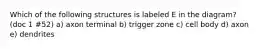 Which of the following structures is labeled E in the diagram? (doc 1 #52) a) axon terminal b) trigger zone c) cell body d) axon e) dendrites