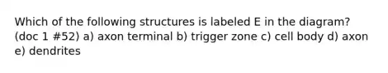 Which of the following structures is labeled E in the diagram? (doc 1 #52) a) axon terminal b) trigger zone c) cell body d) axon e) dendrites