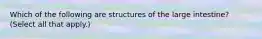 Which of the following are structures of the large intestine? (Select all that apply.)