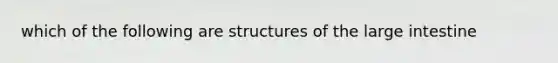 which of the following are structures of the <a href='https://www.questionai.com/knowledge/kGQjby07OK-large-intestine' class='anchor-knowledge'>large intestine</a>