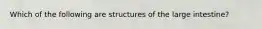 Which of the following are structures of the large intestine?