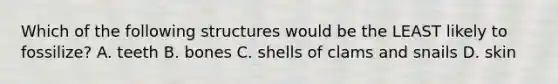 Which of the following structures would be the LEAST likely to fossilize? A. teeth B. bones C. shells of clams and snails D. skin