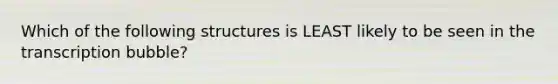 Which of the following structures is LEAST likely to be seen in the transcription bubble?