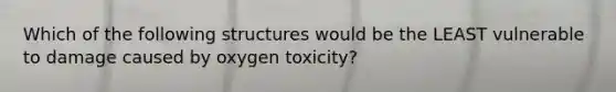 Which of the following structures would be the LEAST vulnerable to damage caused by oxygen toxicity?