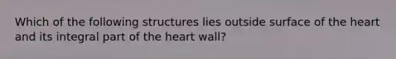 Which of the following structures lies outside surface of the heart and its integral part of the heart wall?