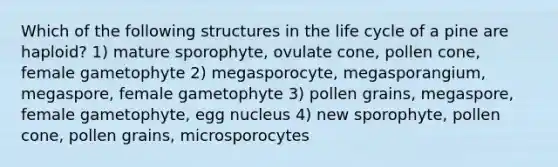 Which of the following structures in the life cycle of a pine are haploid? 1) mature sporophyte, ovulate cone, pollen cone, female gametophyte 2) megasporocyte, megasporangium, megaspore, female gametophyte 3) pollen grains, megaspore, female gametophyte, egg nucleus 4) new sporophyte, pollen cone, pollen grains, microsporocytes